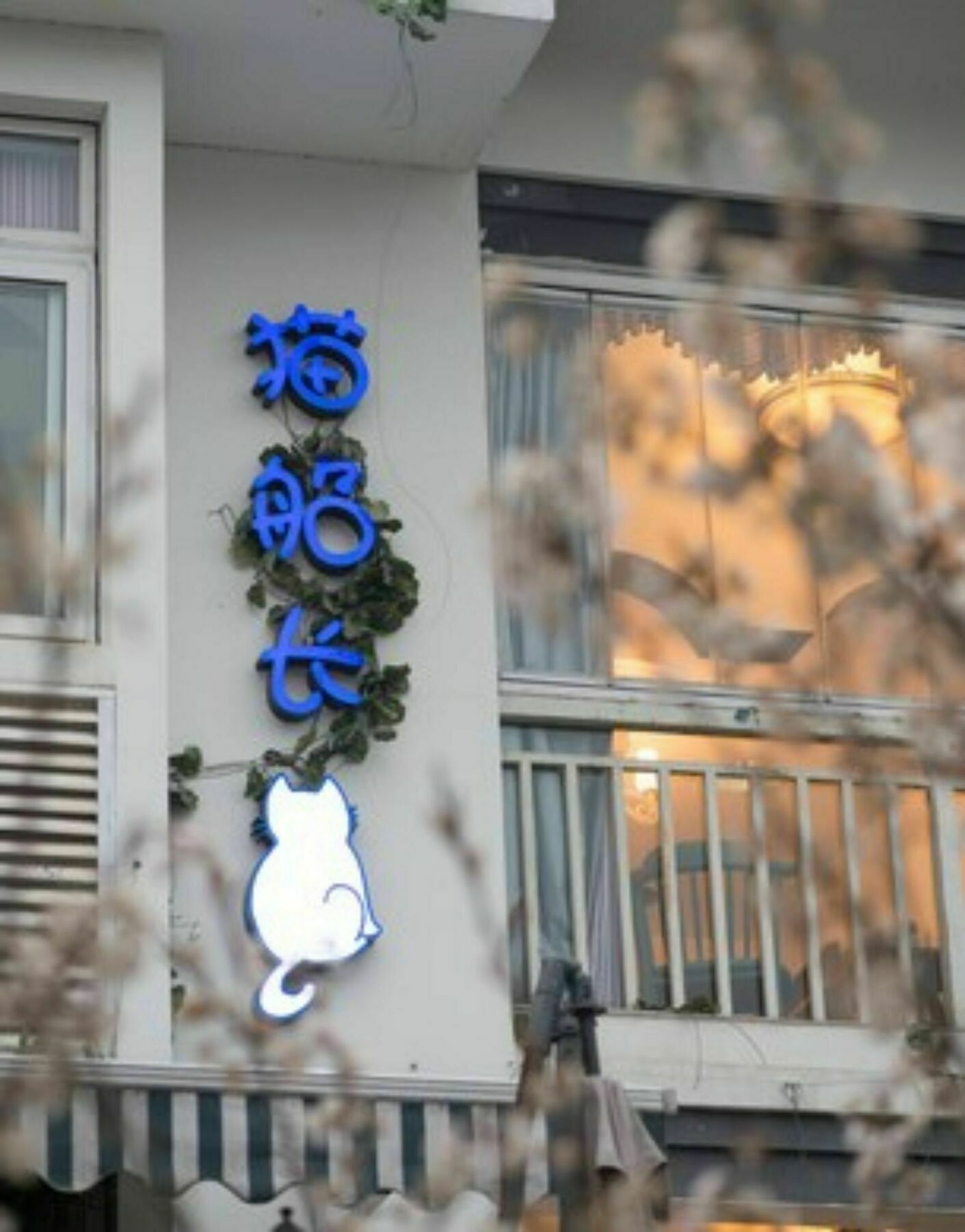 Captain Cat Inn Hangzhou Luaran gambar